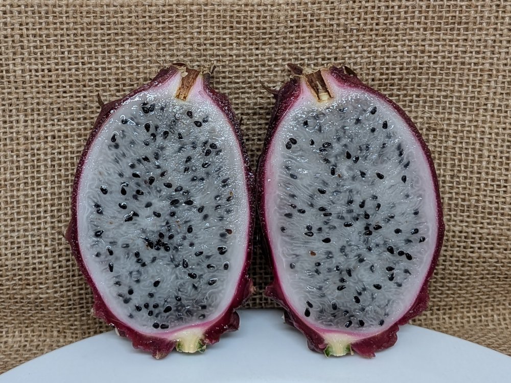 Baby Cerrado dragon fruit picture